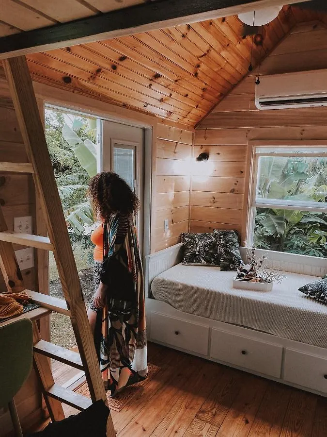 בית נופש פונטה קאנה New!! Tropical Tiny Sanctuary-Tiny Home Near Beach