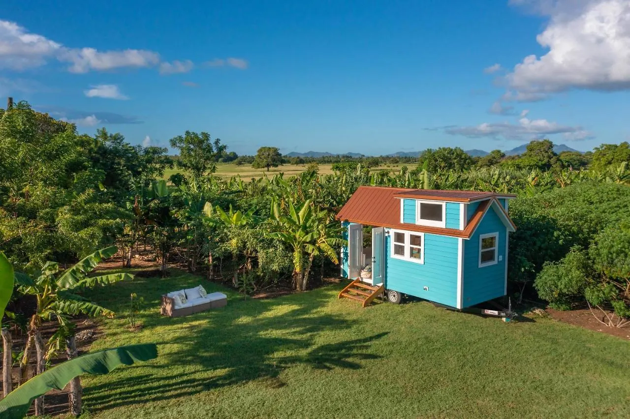 פונטה קאנה New!! Tropical Tiny Sanctuary-Tiny Home Near Beach הרפובליקה הדומיניקנית